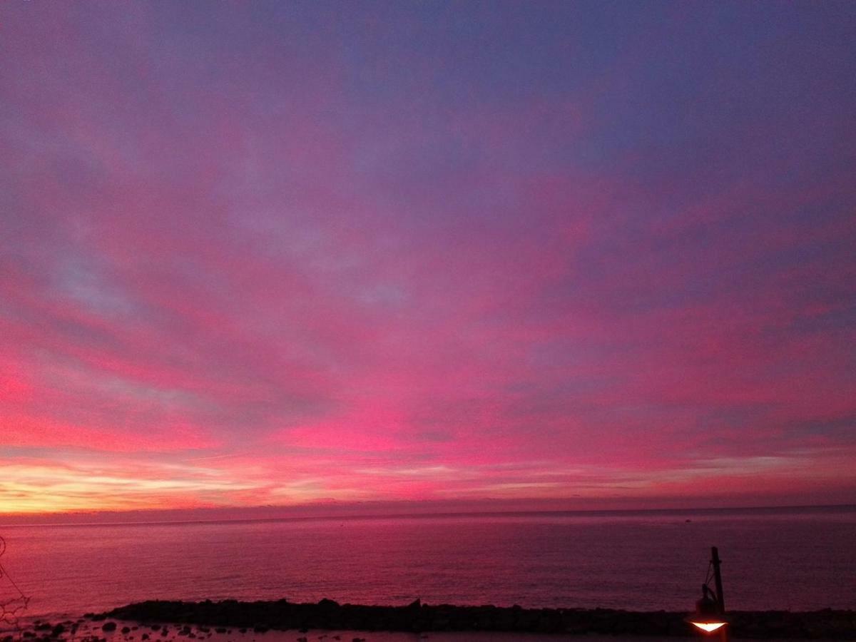 Apartmán I Fiori Di Santo Stefano Santo Stefano al Mare Exteriér fotografie